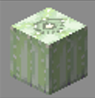 Urchin Lantern